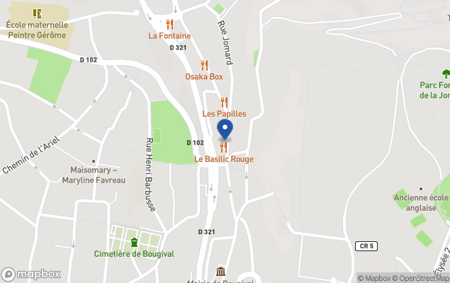 icrp agence du village