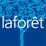 LAFORET - MARLY LE ROI